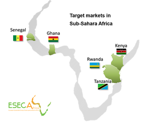 Energy Access: Supporting Innovation between Europe and Africa